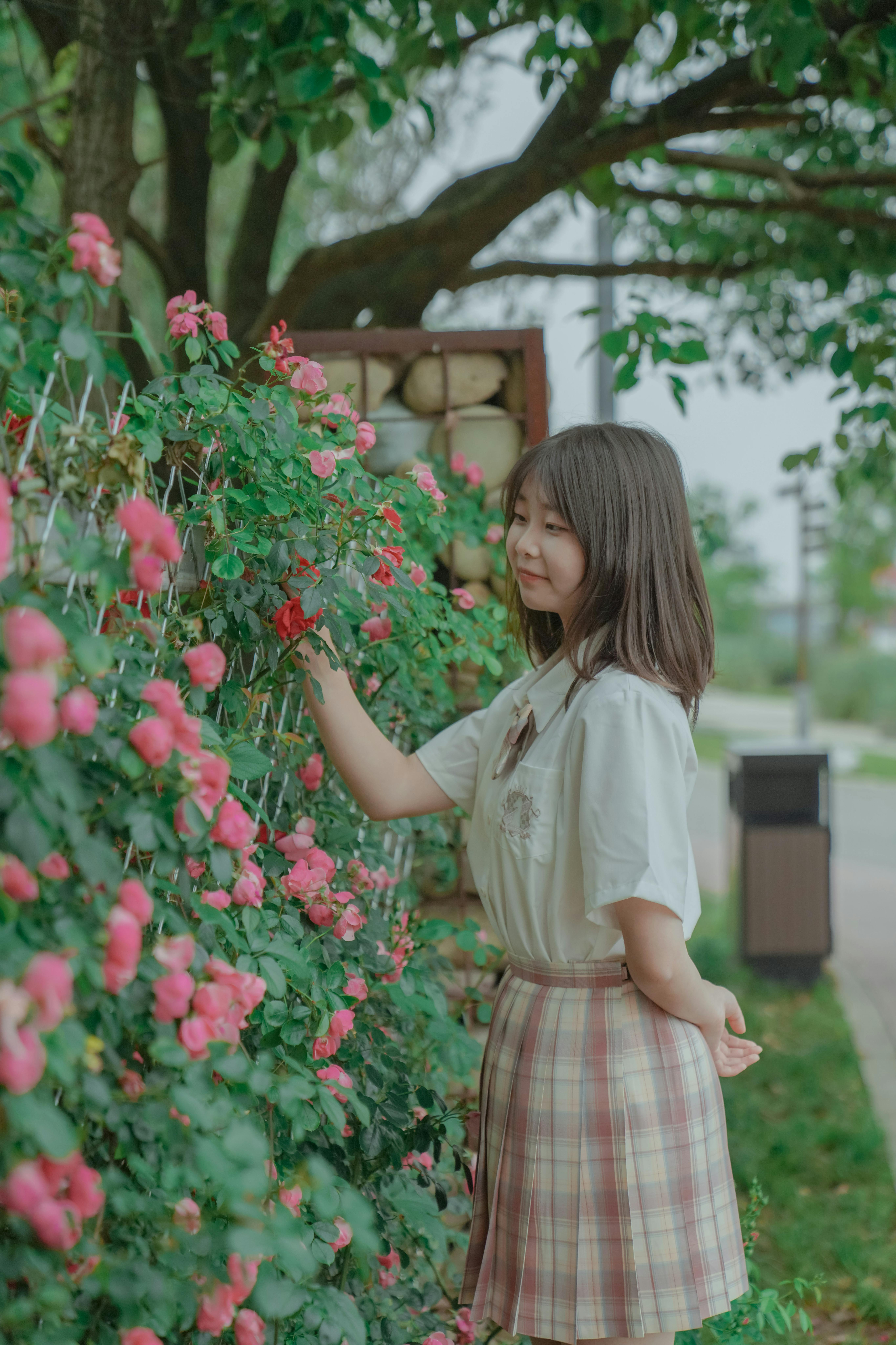 Joy_Xu 创作者头像